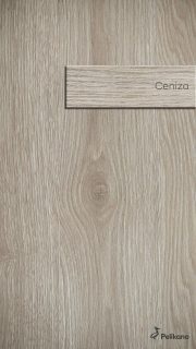 ceniza_real